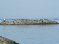 N, Nordland, Oksnes, Gisloya 31, Saxifraga-Willem van Kruijsbergen