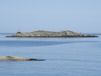 N, Nordland, Oksnes, Gisloya 32, Saxifraga-Willem van Kruijsbergen