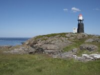 N, Nordland, Oksnes, Gisloya 39, Saxifraga-Willem van Kruijsbergen