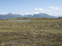 N, Nordland, Oksnes, Gisloya 51, Saxifraga-Willem van Kruijsbergen