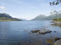 N, Nordland, Oksnes, Steinlandsfjorden 1, Saxifraga-Willem van Kruijsbergen