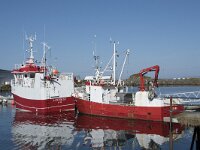 N, Nordland, Oksnes, Sto 1, Saxifraga-Willem van Kruijsbergen