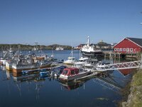 N, Nordland, Oksnes, Sto 4, Saxifraga-Willem van Kruijsbergen