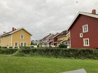 N, Nordland, Rana, Mo i Rana 5, Saxifraga-Willem van Kruijsbergen