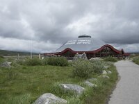 N, Nordland, Rana, Storforshei 8, Saxifraga-Willem van Kruijsbergen