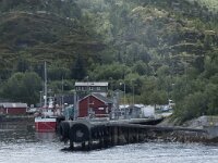 N, Nordland, Rodoy, Kilboghamn 3, Saxifraga-Willem van Kruijsbergen