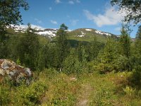 N, Nordland, Saltdal, Tespadalen 1, Saxifraga-Marjan van der Heide