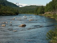 N, Nordland, Saltdal, Tolladalen 3, Saxifraga-Marjan van der Heide