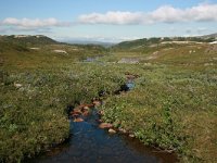 N, Nordland, Saltdal, Tolladalen 4, Saxifraga-Marjan van der Heide