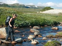 N, Nordland, Saltdal, Tolladalen 5, Saxifraga-Marjan van der Heide