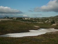 N, Nordland, Saltdal, Tolladalen 6, Saxifraga-Marjan van der Heide