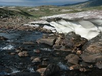 N, Nordland, Saltdal, Tolladalen 7, Saxifraga-Marjan van der Heide