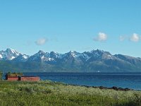 N, Nordland, Sortland 3, Saxifraga-Hans Dekker