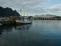 N, Nordland, Sortland 4, Saxifraga-Marjan van der Heide