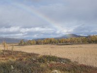 N, Oppland, Dovre, Fokstumyra 126, Saxifraga-Willem van Kruijsbergen