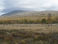 N, Oppland, Dovre, Fokstumyra 158, Saxifraga-Annemiek Bouwman