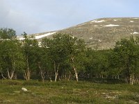 N, Oppland, Dovre, Fokstumyra 29, Saxifraga-Jan van der Straaten