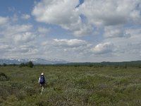 N, Oppland, Dovre, Fokstumyra 37, Saxifraga-Jan van der Straaten