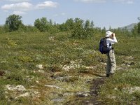 N, Oppland, Dovre, Fokstumyra 46, Saxifraga-Jan van der Straaten