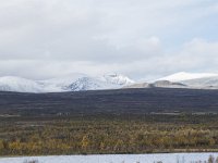 N, Oppland, Dovre, Valasjoen 1, Saxifraga-Willem van Kruijsbergen