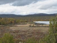 N, Oppland, Dovre, Valasjoen 17, Saxifraga-Annemiek Bouwman