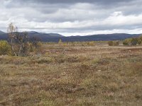 N, Oppland, Dovre, Valasjoen 8, Saxifraga-Willem van Kruijsbergen