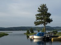 N, Oppland, Gjovik, Redalen 2, Saxifraga-Jan van der Straaten