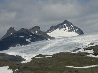 N, Oppland, Lom, Fantesteinen 3, Saxifraga-Willem van Kruijsbergen