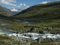 N, Oppland, Lom, Krossbu 14, Saxifraga-Marijke Verhagen