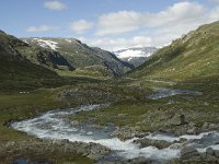 N, Oppland, Lom, Leirdalen 4, Saxifraga-Willem van Kruijsbergen