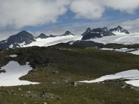 N, Oppland, Lom, Smorstabbtindan 2, Saxifraga-Willem van Kruijsbergen