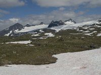 N, Oppland, Lom, Smorstabbtindan 4, Saxifraga-Willem van Kruijsbergen