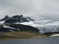 N, Oppland, Lom, Sognefjell 11, Saxifraga-Jan van der Straaten