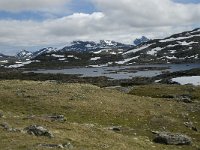 N, Oppland, Lom, Sognefjell 18, Saxifraga-Jan van der Straaten