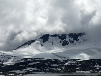 N, Oppland, Lom, Sognefjell 20, Saxifraga-Jan van der Straaten