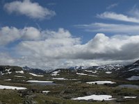 N, Oppland, Lom, Sognefjell 22, Saxifraga-Jan van der Straaten