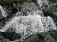 N, Oppland, Lom, Sognefjell 27, Saxifraga-Jan van der Straaten