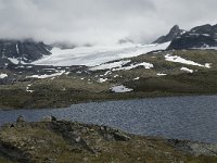 N, Oppland, Lom, Sognefjell 4, Saxifraga-Jan van der Straaten