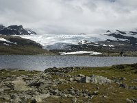 N, Oppland, Lom, Sognefjell 7, Saxifraga-Jan van der Straaten