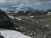 N, Oppland, Lom, Sognefjellet 24, Saxifraga-Jan van der Straaten