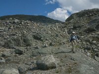 N, Oppland, Lom, Sognefjellet 28, Saxifraga-Jan van der Straaten