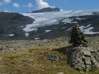 N, Oppland, Lom, Sognefjellet 37, Saxifraga-Jan van der Straaten