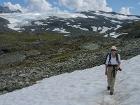 N, Oppland, Lom, Sognefjellet 38, Saxifraga-Jan van der Straaten