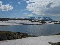 N, Oppland, Lom, Sognefjellet 46, Saxifraga-Jan van der Straaten