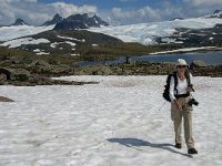 N, Oppland, Lom, Sognefjellet 48, Saxifraga-Jan van der Straaten