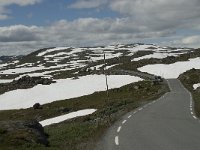 N, Oppland, Lom, Sognfjelletroad 1, Saxifraga-Willem van Kruijsbergen