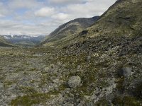 N, Oppland, Lom, Storebreen 12, Saxifraga-Willem van Kruijsbergen