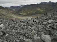 N, Oppland, Lom, Storebreen 24, Saxifraga-Willem van Kruijsbergen