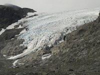 N, Oppland, Lom, Storebreen 4, Saxifraga-Willem van Kruijsbergen