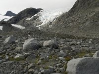 N, Oppland, Lom, Storebreen 5, Saxifraga-Willem van Kruijsbergen